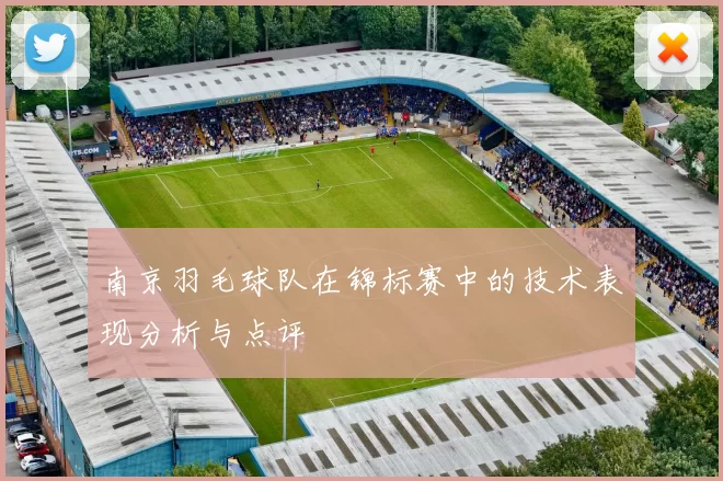 南京羽毛球队在锦标赛中的技术表现分析与点评