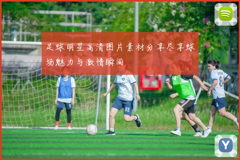 足球明星高清图片素材分享尽享球场魅力与激情瞬间