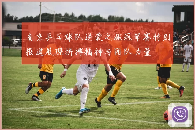 南京乒乓球队逆袭之旅冠军赛特别报道展现拼搏精神与团队力量