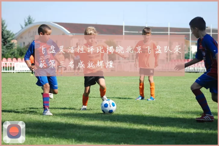 飞盘灵活性评比揭晓北京飞盘队荣获第三名成就辉煌