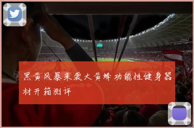 黑黄风暴来袭大黄蜂功能性健身器材开箱测评