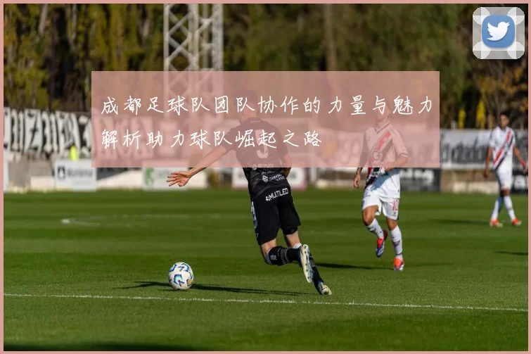 成都足球队团队协作的力量与魅力解析助力球队崛起之路