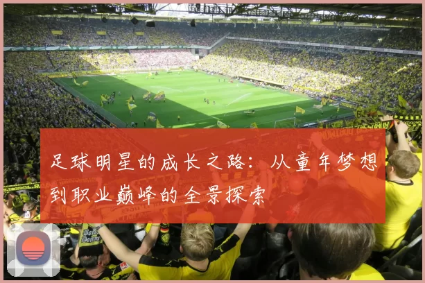 足球明星的成长之路：从童年梦想到职业巅峰的全景探索