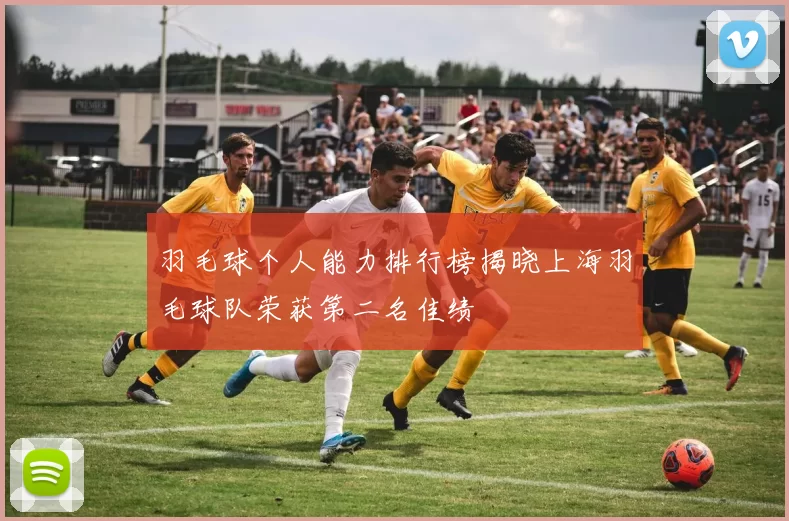 羽毛球个人能力排行榜揭晓上海羽毛球队荣获第二名佳绩