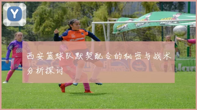 西安篮球队默契配合的秘密与战术分析探讨