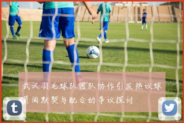 武汉羽毛球队团队协作引发热议球员间默契与配合的争议探讨