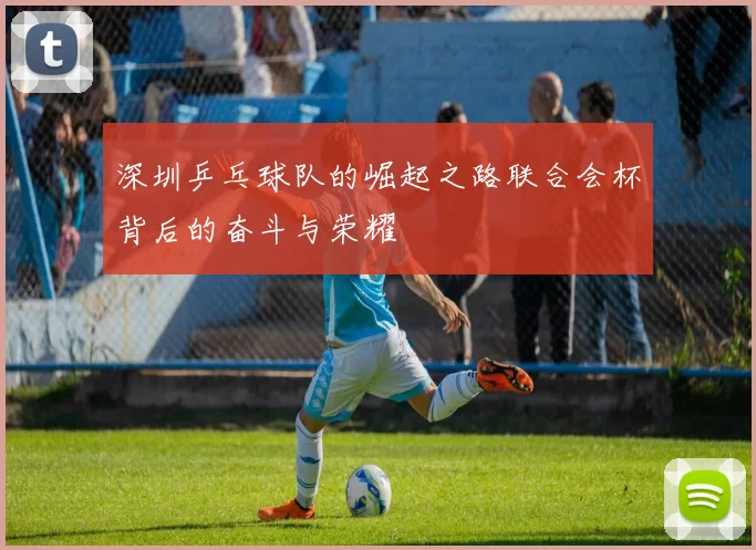 深圳乒乓球队的崛起之路联合会杯背后的奋斗与荣耀