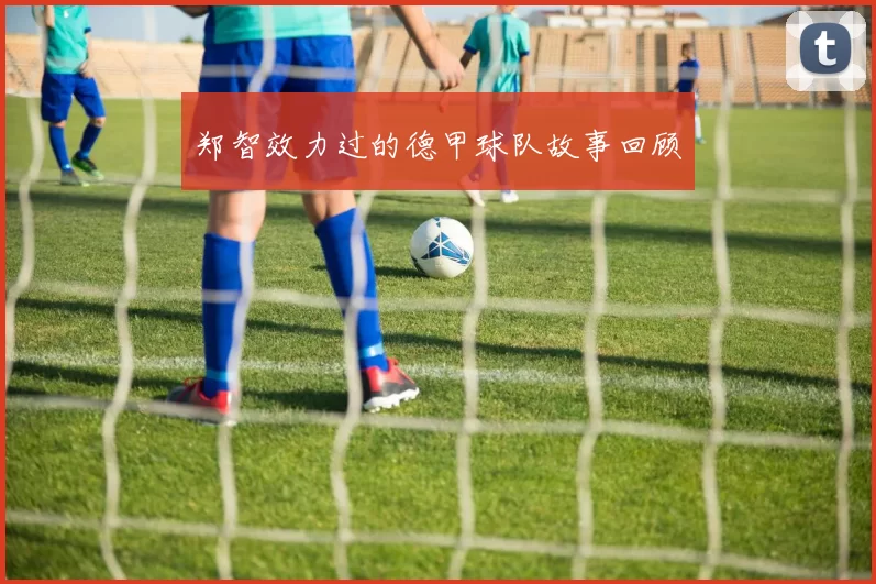 郑智效力过的德甲球队故事回顾