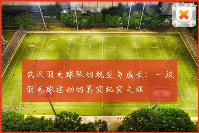 武汉羽毛球队的蜕变与成长：一段羽毛球运动的真实纪实之旅