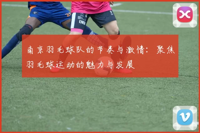 南京羽毛球队的节奏与激情：聚焦羽毛球运动的魅力与发展